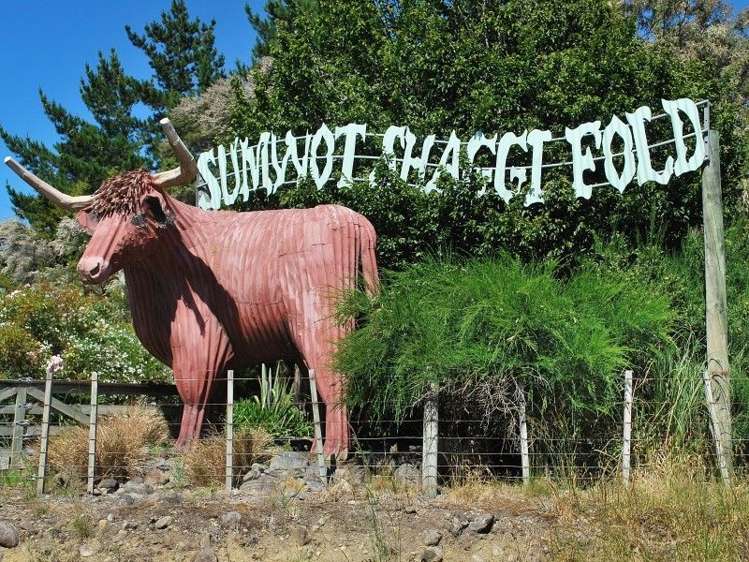 617 Norfolk Road Upper Plain_19