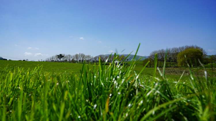 304b Waiterimu Road Waiterimu_5