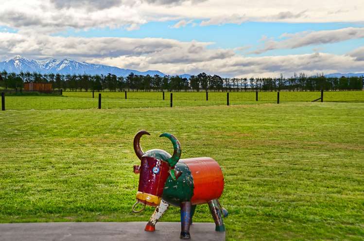 38 Whitcombe Place Darfield_1