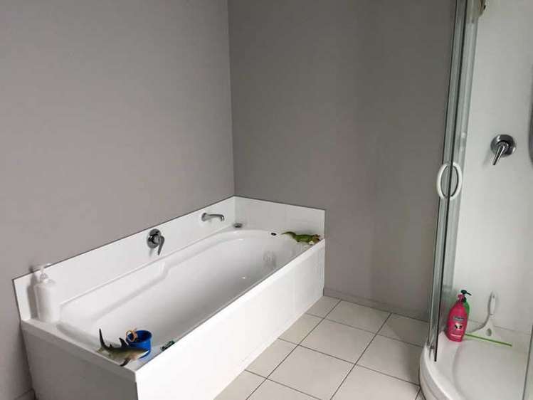 6b Marlborough Street Phillipstown_7