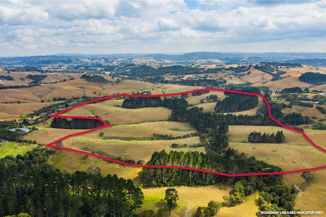 475 Peak Road Helensville_1