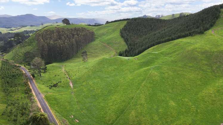 Lot 2 Te Kopia Road Waikite Valley_8