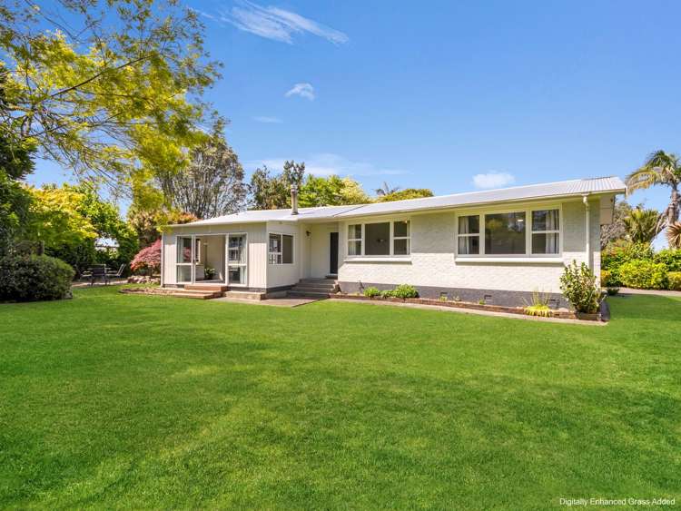 81 College Road Edgecumbe_29