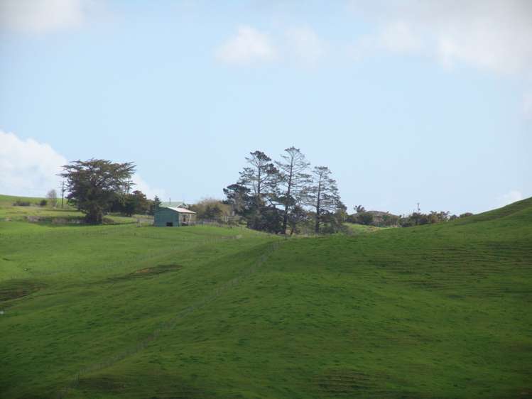 259 Arapohue Road Dargaville Surrounds_15