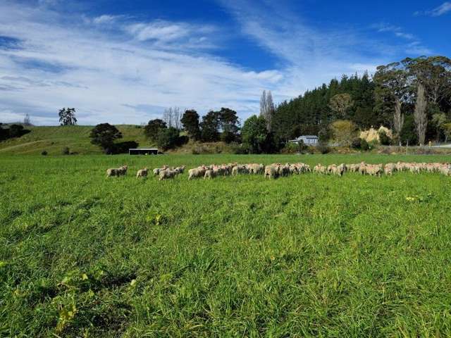 2118 Matawai Road Te Karaka_1