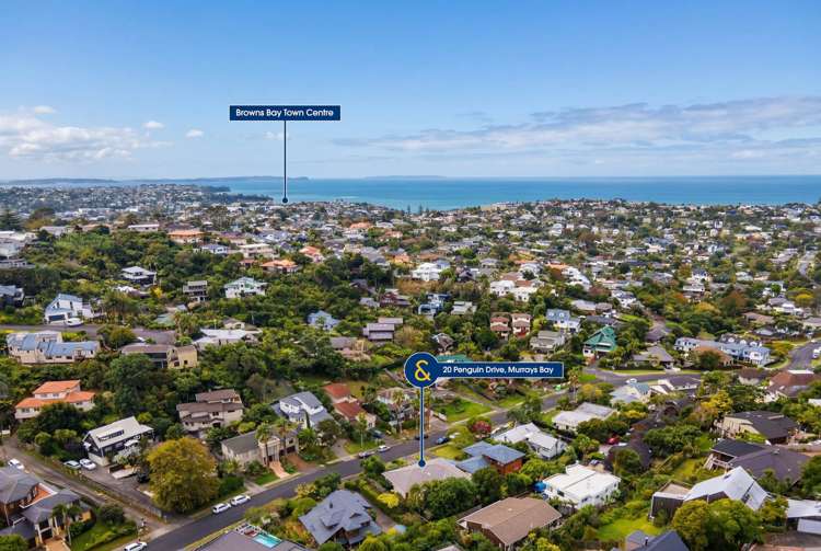 20 Penguin Drive Murrays Bay_21