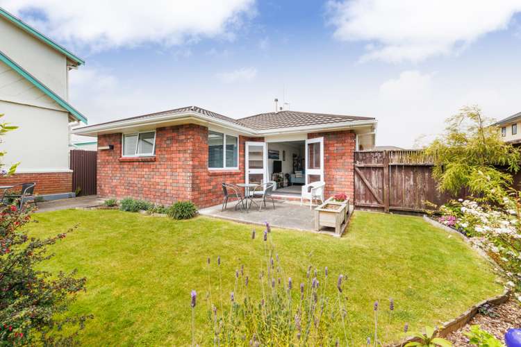 456b Featherston Street Palmerston North Central_22