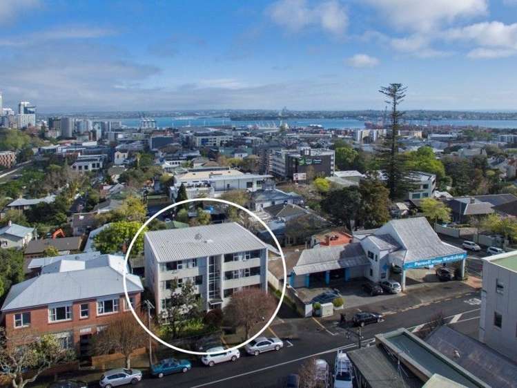 3 Birdwood Crescent Parnell_9