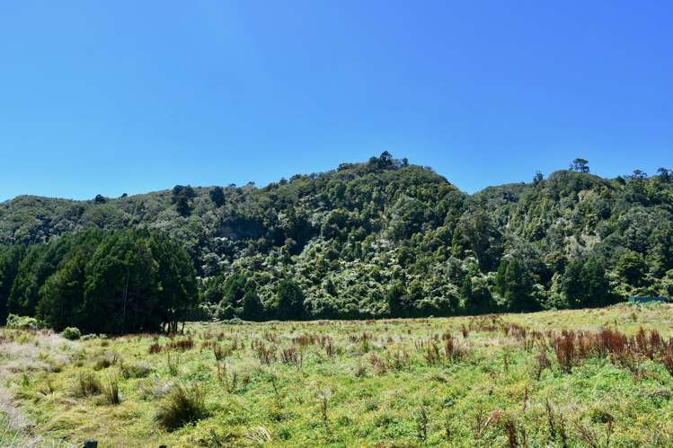 1/Lot 1 Kongahu Road Little Wanganui_16