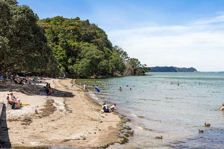 34 Valley Road Titirangi_28