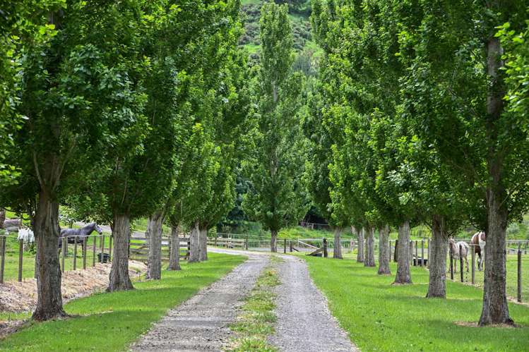 65b Ngakoroa Road Ormond_24