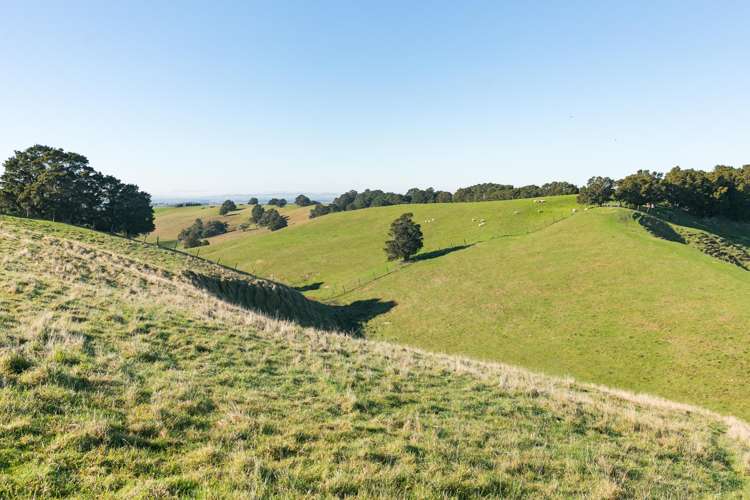 613 Blackburn Road Ongaonga_14