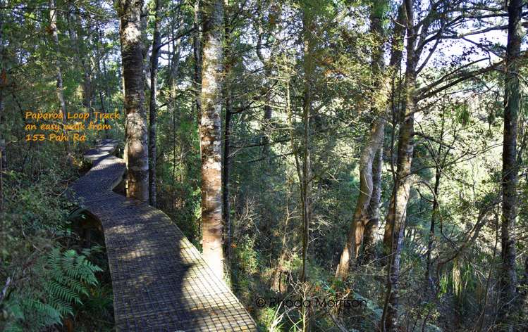 153 Pahi Road Paparoa_31