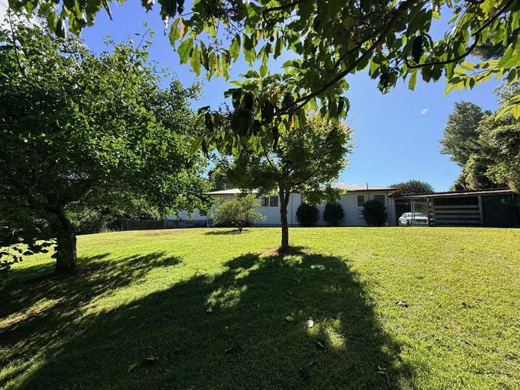 1164 No 3 Road Te Puke_22