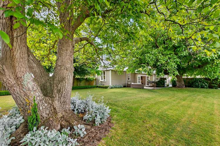 235 Havelock Road Akina_6