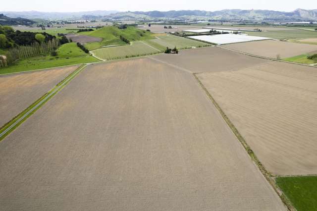 23 Mcfarlane Road Waituhi_2