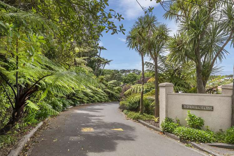 2/33 Box Hill Khandallah_13