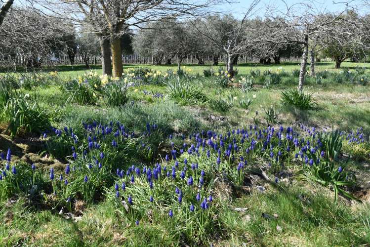 413a Lake Ferry Road Dyerville_10