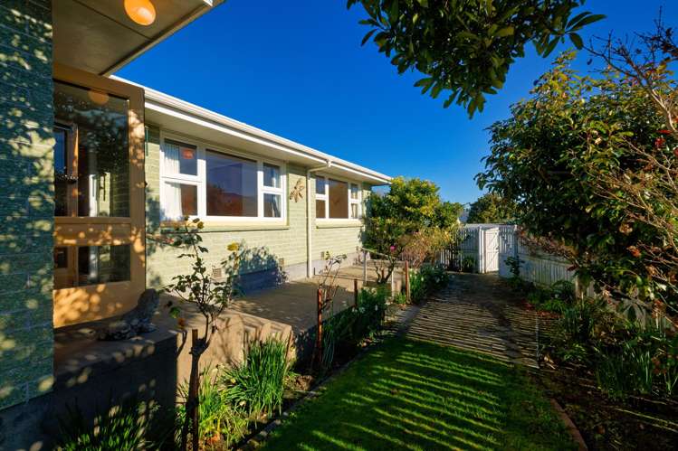 163 Beach Road Kaikoura_8