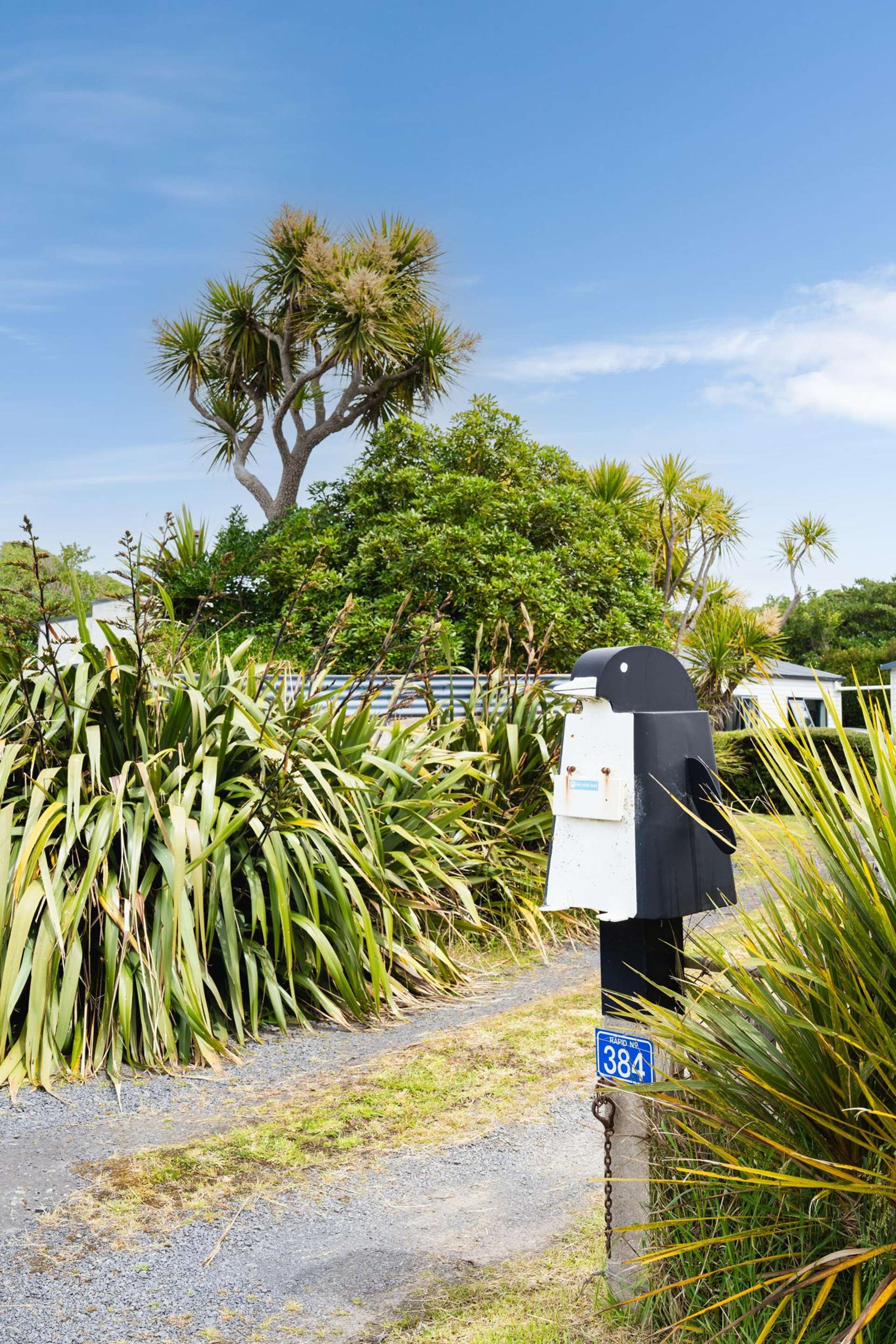 384 Taieri Mouth Road Kuri Bush_0