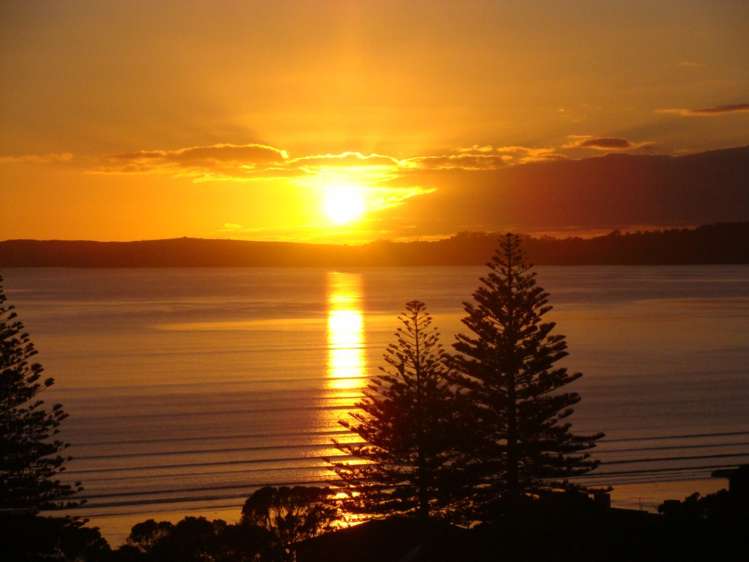 1105/11 Tamariki Avenue_2