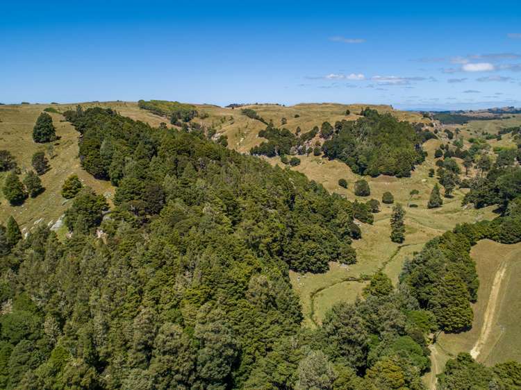 565 Matakitaki Road Glen Murray_11