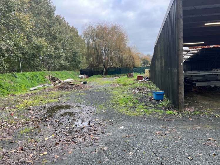 313 Postman Road Dairy Flat_5