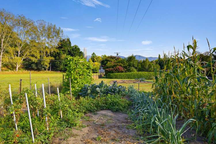 172 Thorpe-Orinoco Road Ngatimoti_26
