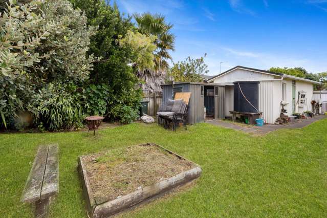 14 Moore Avenue Tawhero_2