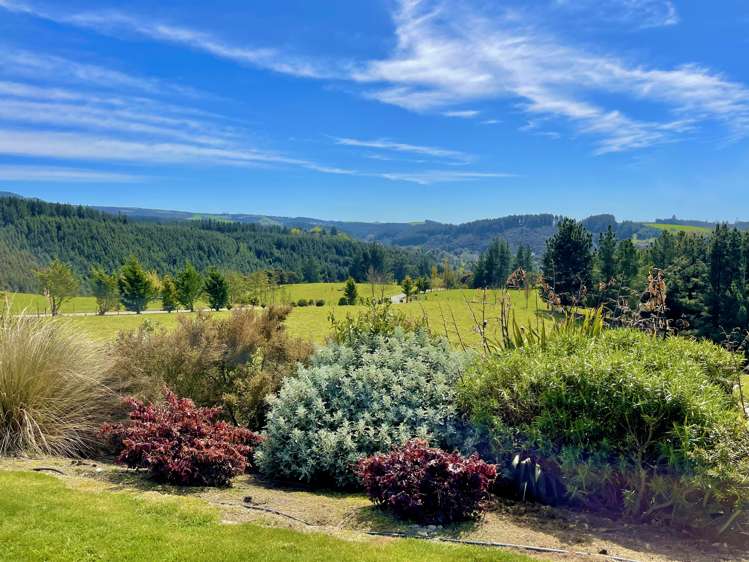 22 Reid Road Herbert_13