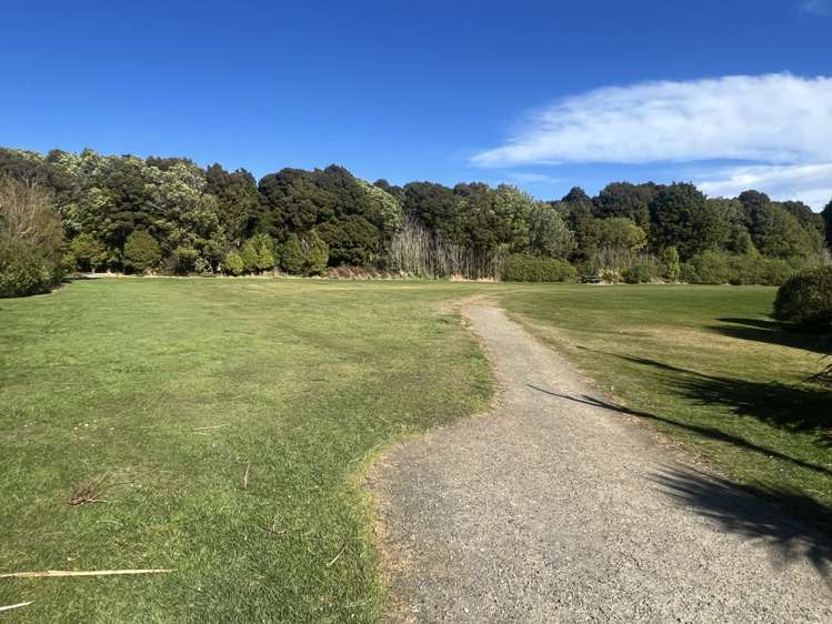 31 Mason Road Seaward Bush_9