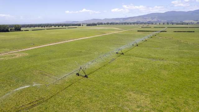 Irrigated Runoff Opportunity with Dairy Credentials - 151ha (STFS)