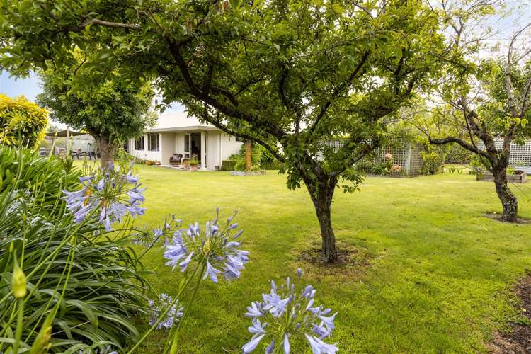 42c Brydon Street Renwick_1