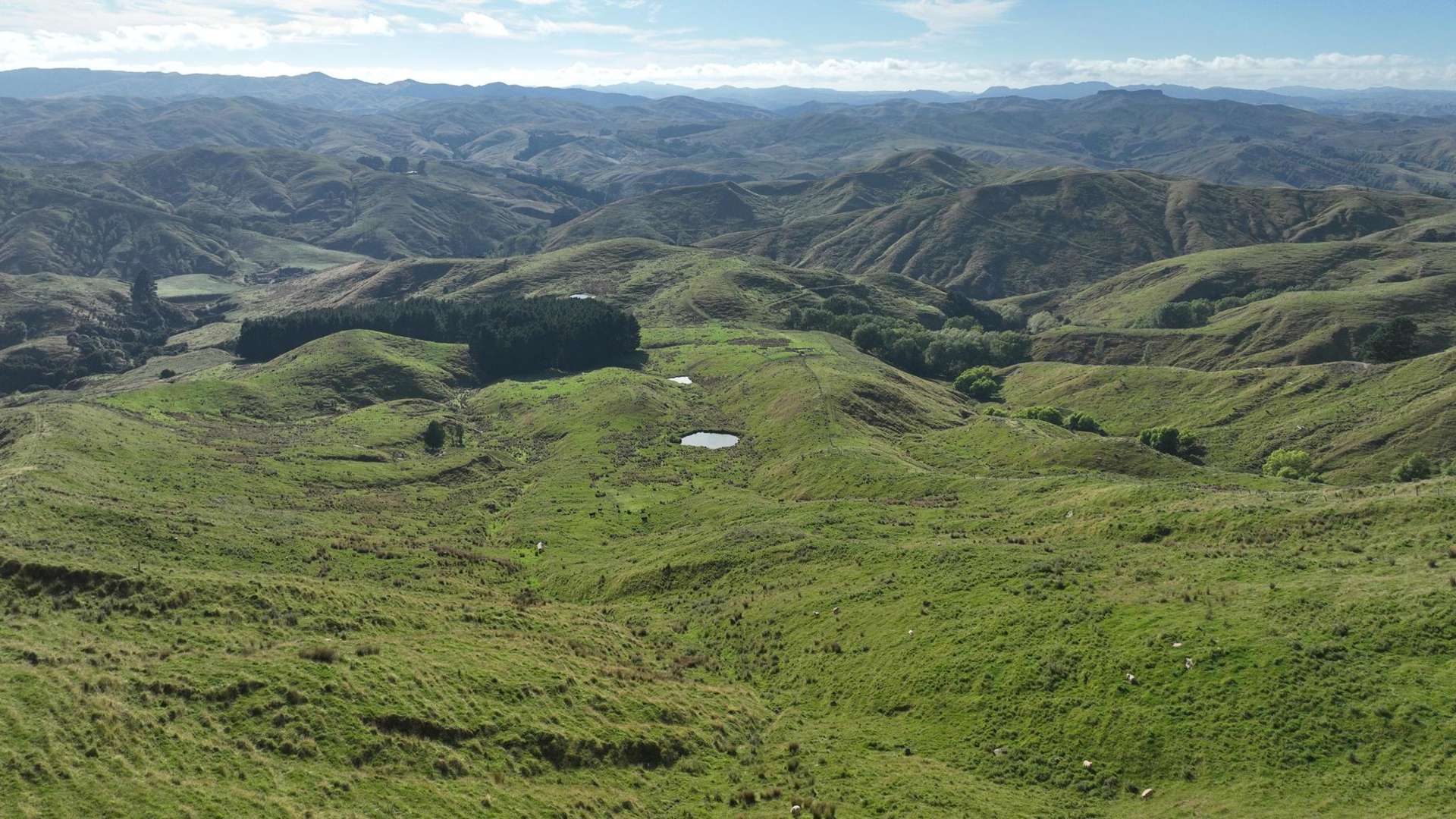 1191 Whangaehu Valley Road Whangaehu Valley_0