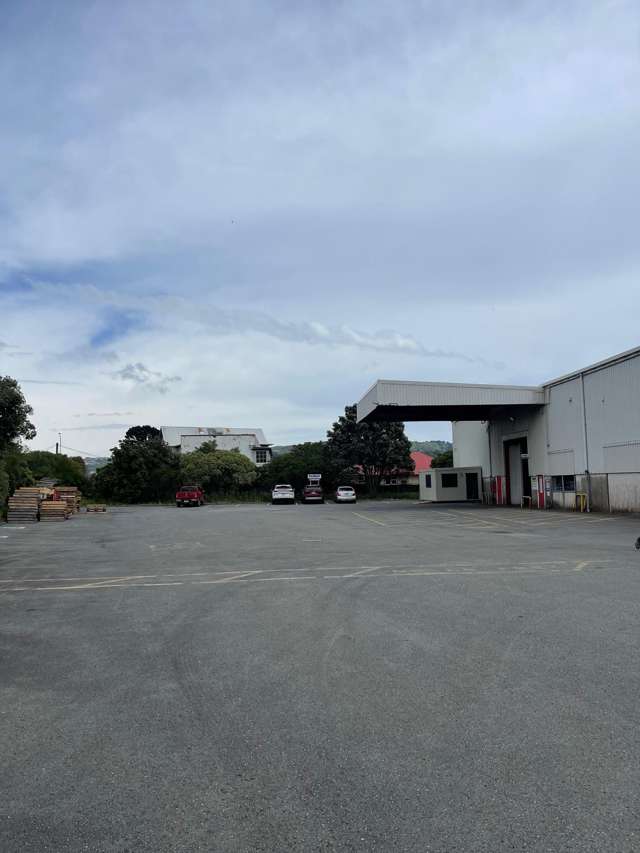 50 East Street Petone_2