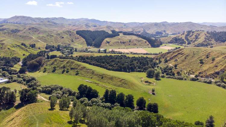 14781 Route 52 Eketahuna_7