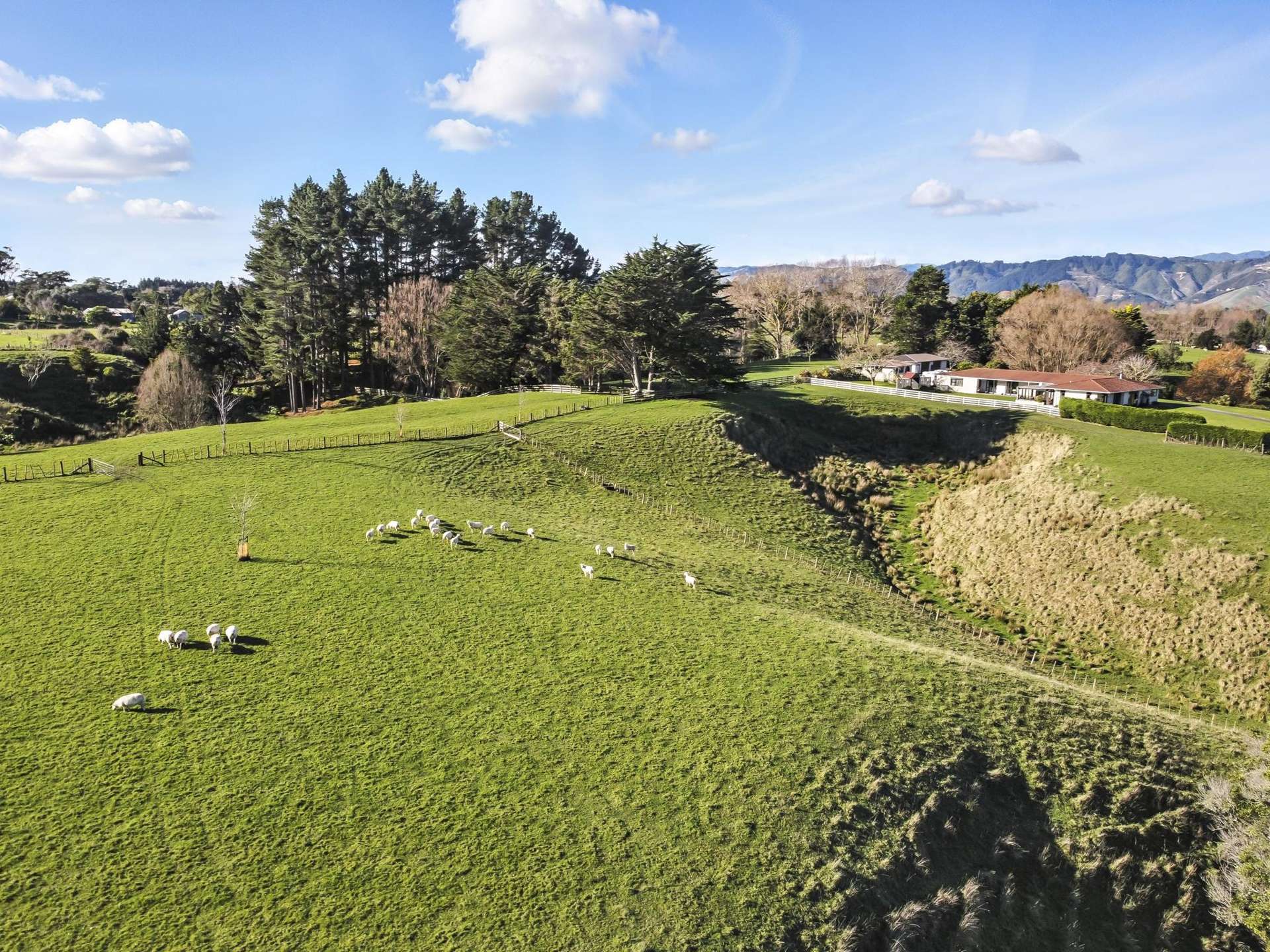 39A The Avenue Levin_0