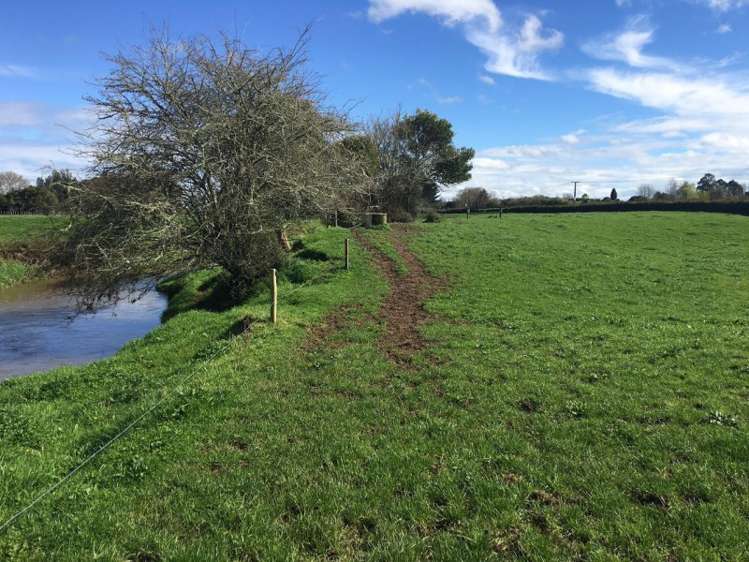 102 Platt Road Tauwhare_7