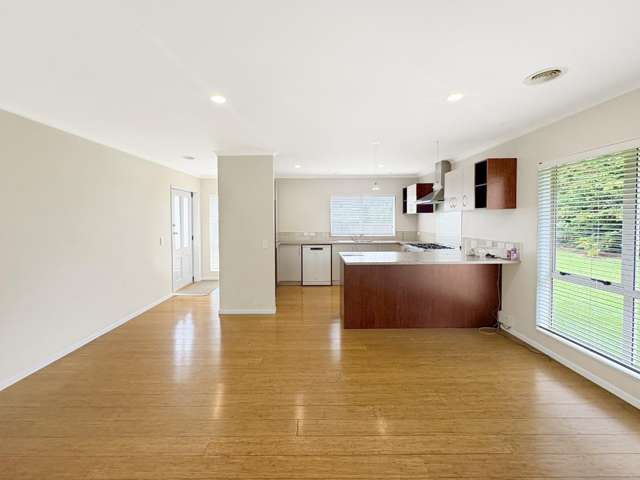 29 Nikau Street 1230_1