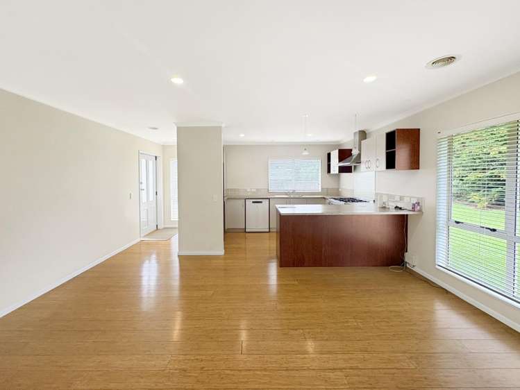 29 Nikau Street 1230_1
