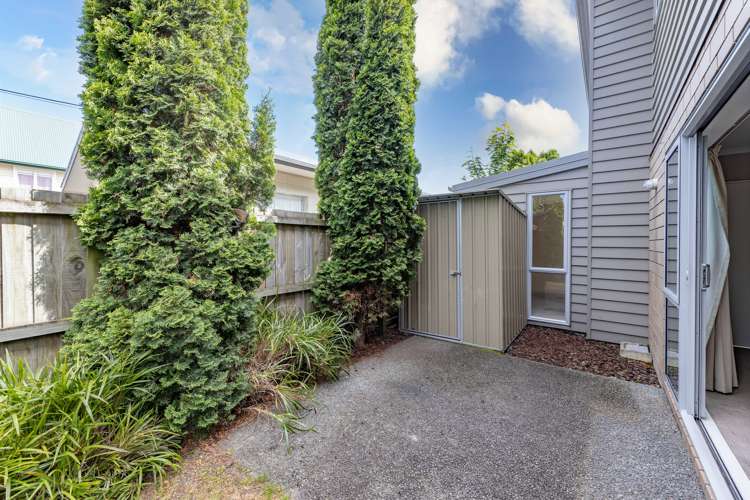 41c Austin Street Sydenham_11