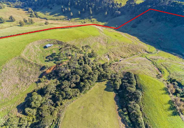 1338 Highway 22 Pukekawa_5