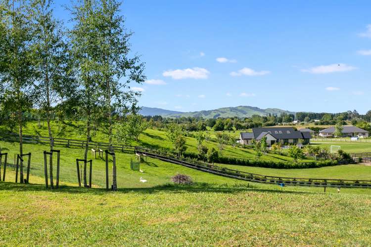 4/110 Maungakawa Road Cambridge_15