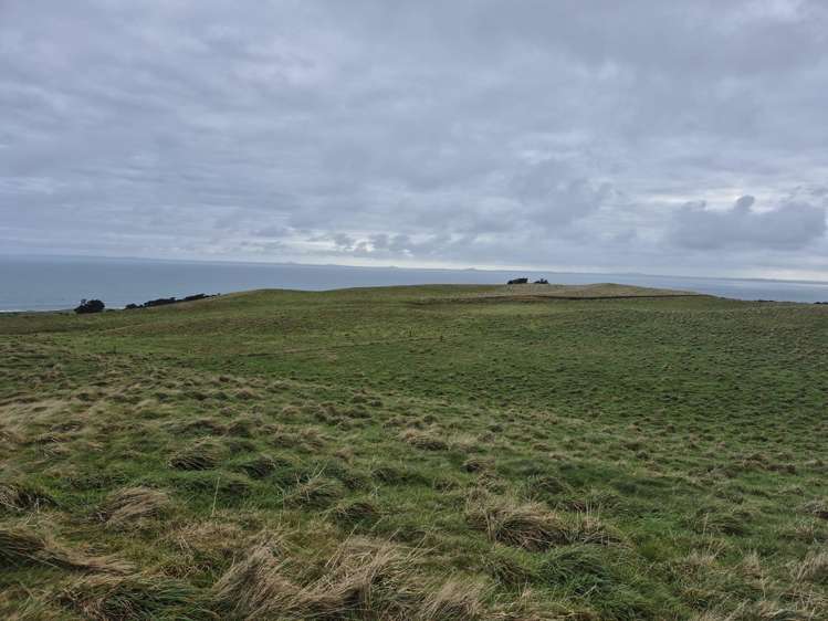 Lot 1-3/546 Waitangi Tuku Road_5