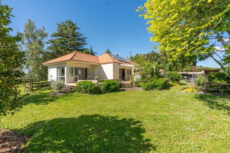 93 Crawford Road Te Kowhai_41