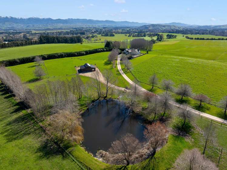 311 Gordon Street Lansdowne_32