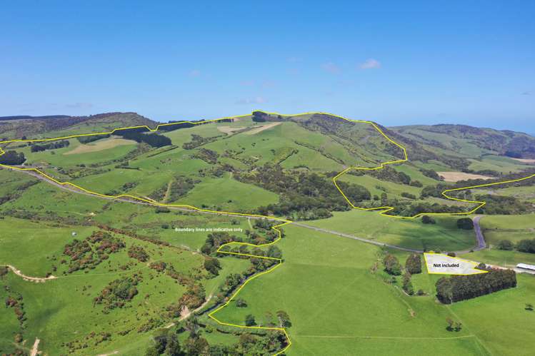 1777 Papatowai Highway Papatowai/Pounawea_16