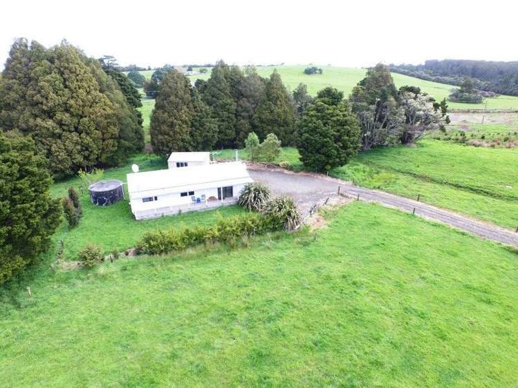 684 Trounson Park Road Dargaville Surrounds_9