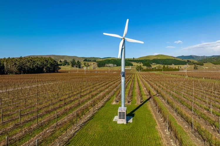 2384 State Highway 63 Wairau Valley_23