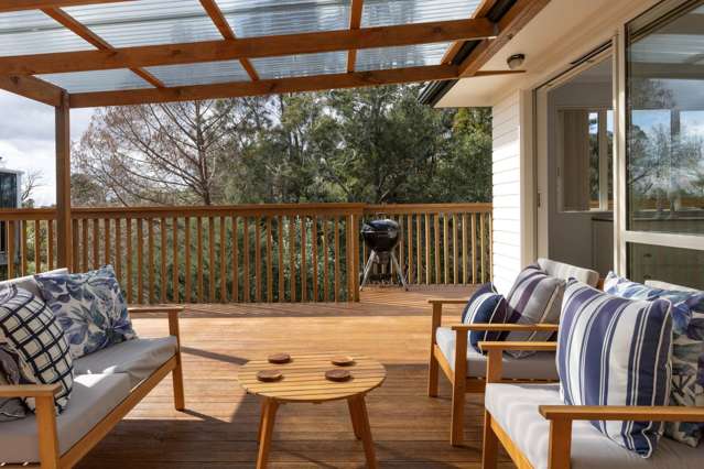 46b Roick Parade Glen Eden_4